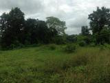 GOSHEN St Ann Walkerswood, St. Ann, Jamaica - Residential lot for Sale